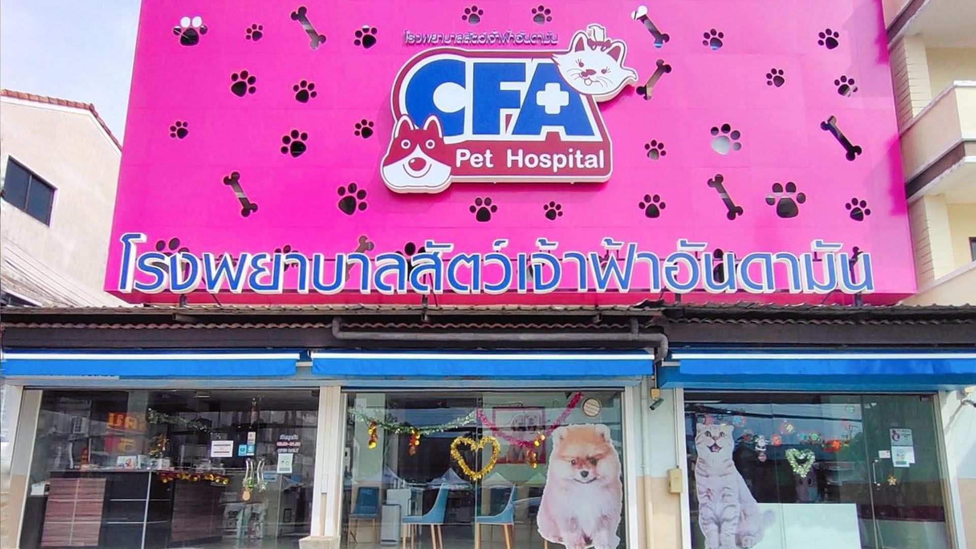 Chao Fah Andaman Pet Hospital