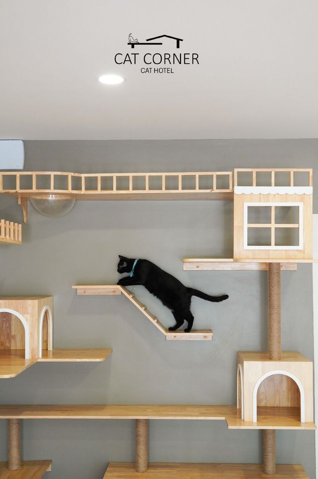 Cat Corner Cat Hotel Phuket - Phuket Pet Friendly