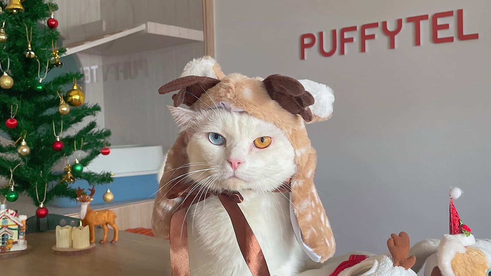 Puffytel Pet Hotel 