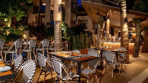 Canopy Tree Bar