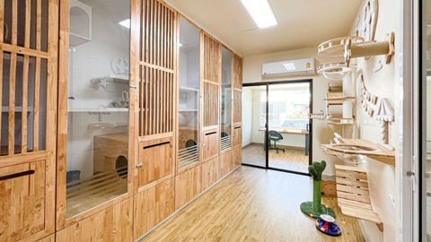 Catspurry Cat Hotel Phuket
