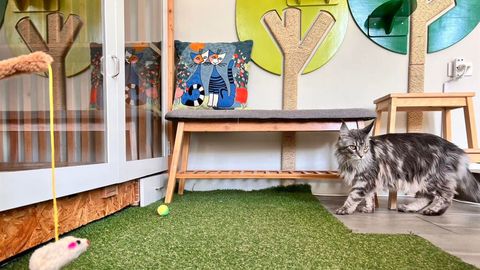 Cattipi Hotel