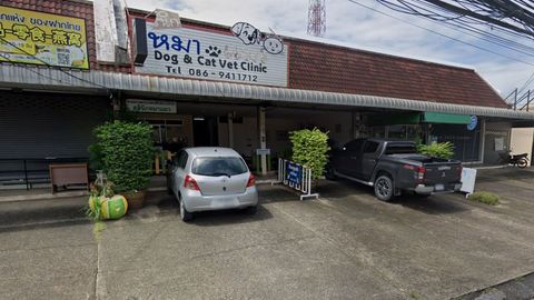 Dog & Cat Vet Clinic