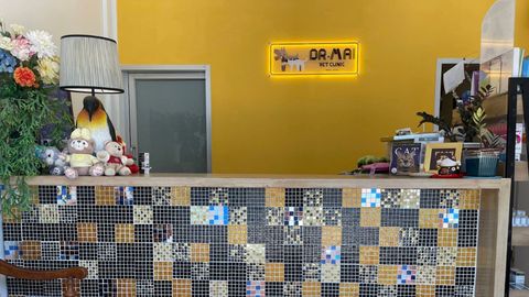 Dr.Mai Vet Clinic