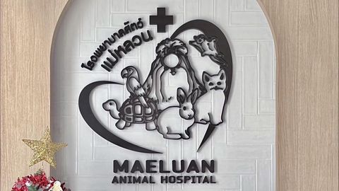 Maeluan Animal Hospital Phuket