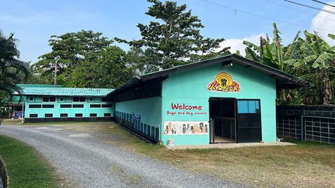Phuket Dog School & Hotel